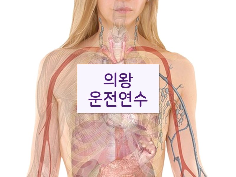 의왕운전연수 후기