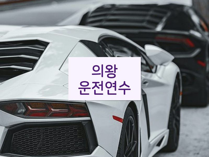 의왕운전연수 후기