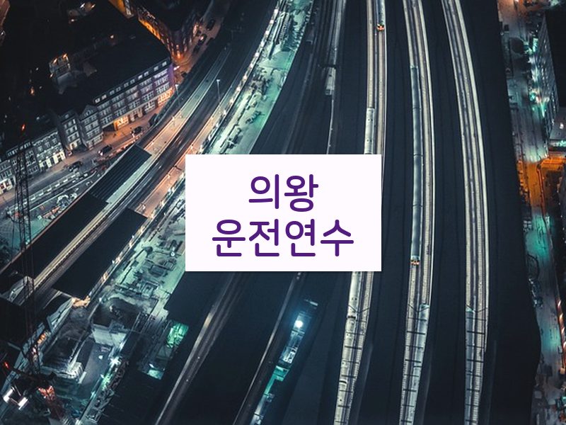 의왕운전연수 후기