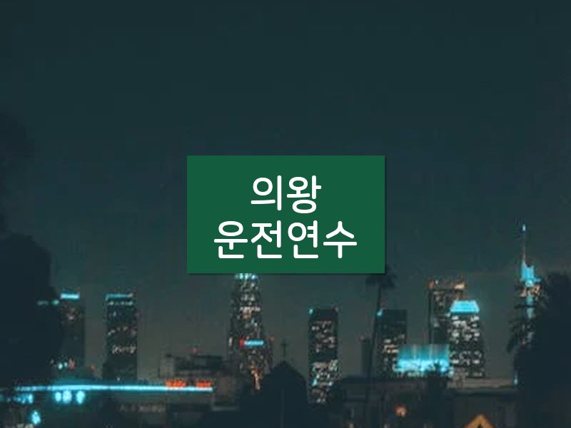 의왕운전연수 후기