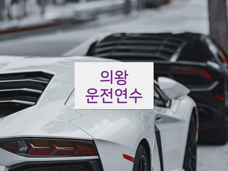 의왕운전연수 후기