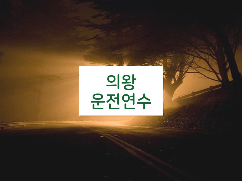 의왕운전연수 후기