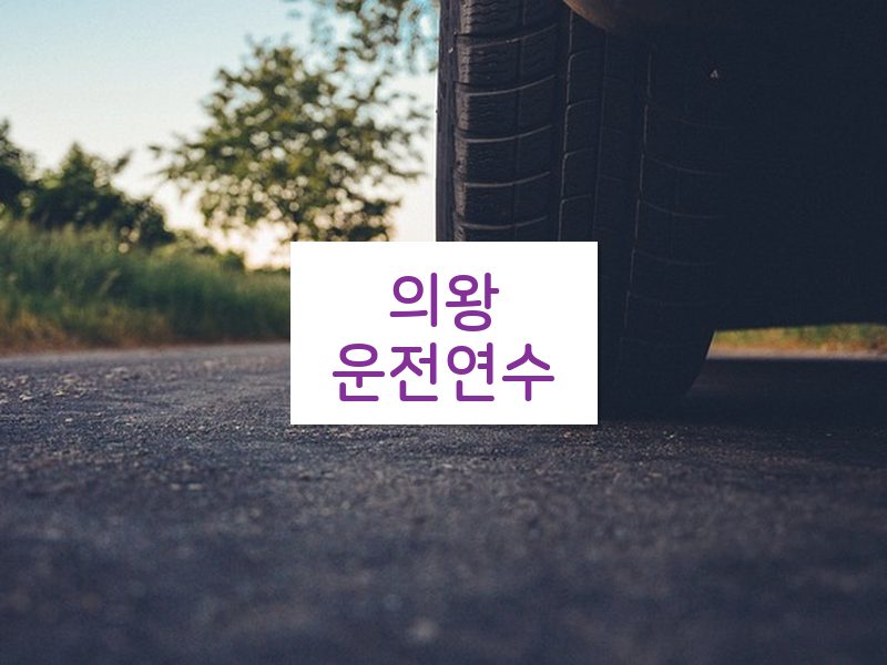 의왕운전연수 후기