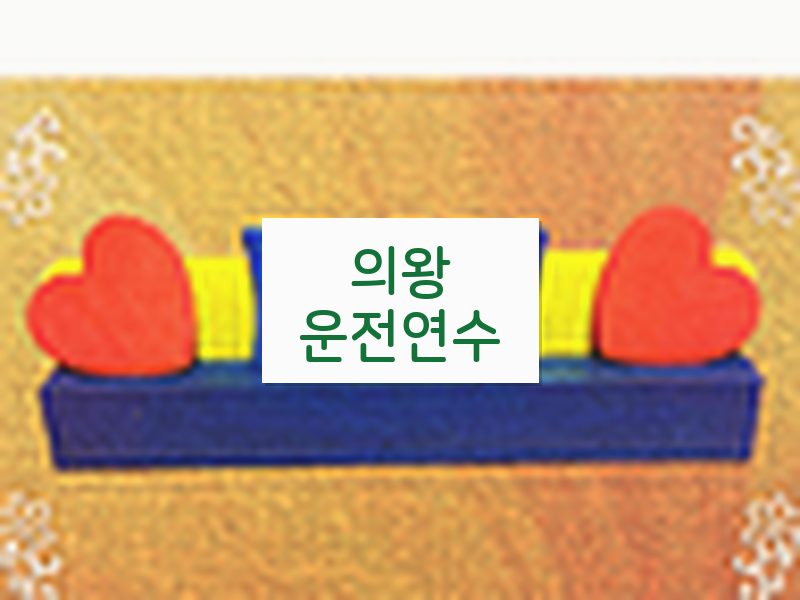 의왕운전연수 후기