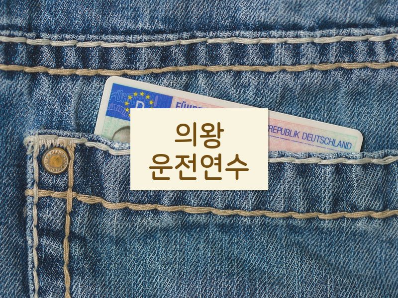 의왕운전연수 후기