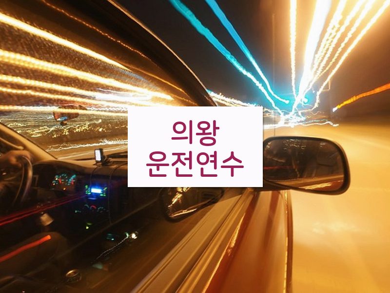 의왕운전연수 후기