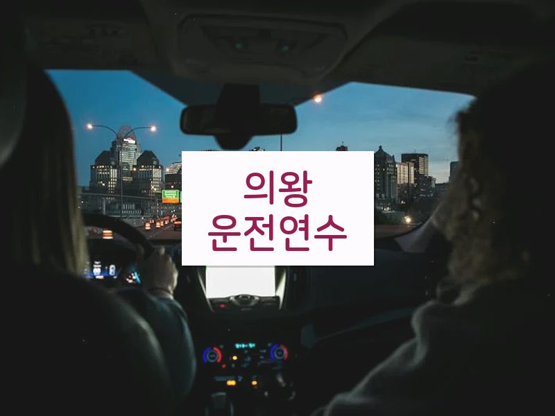 의왕운전연수 후기