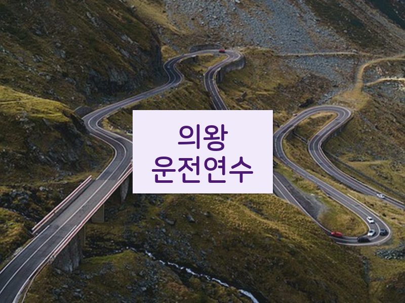 의왕운전연수 후기