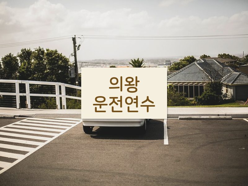 의왕운전연수 후기