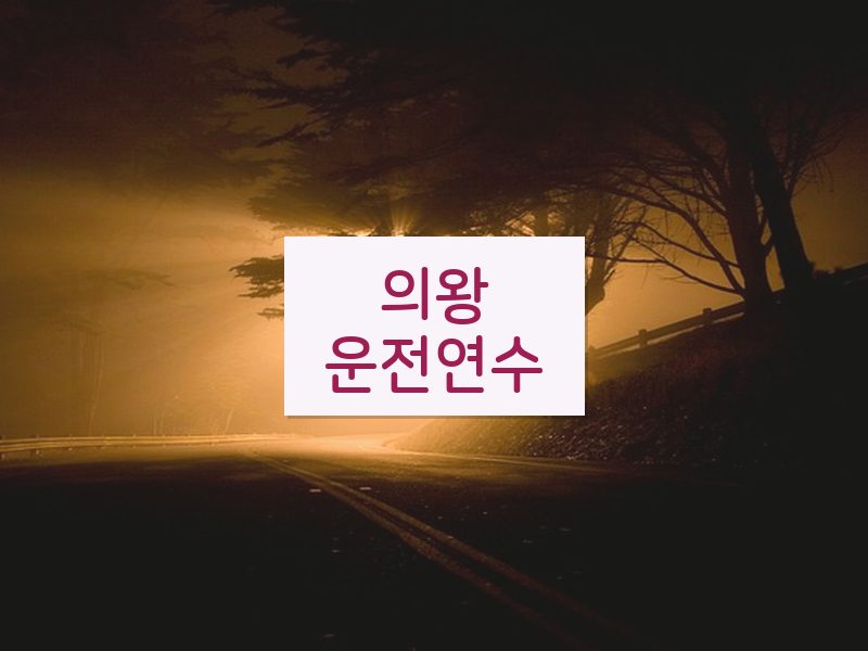 의왕운전연수 후기