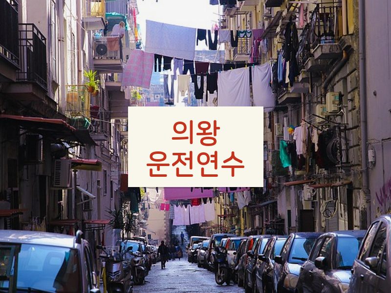 의왕운전연수 후기
