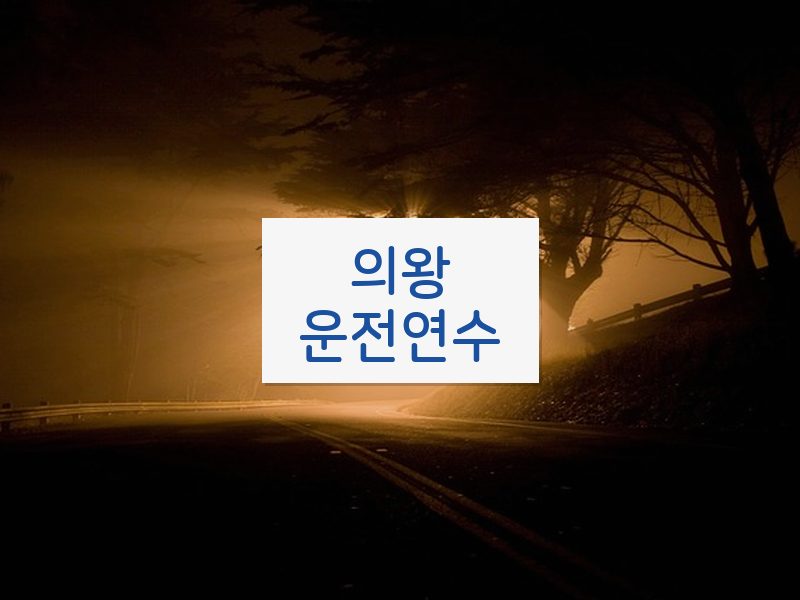 의왕운전연수 후기