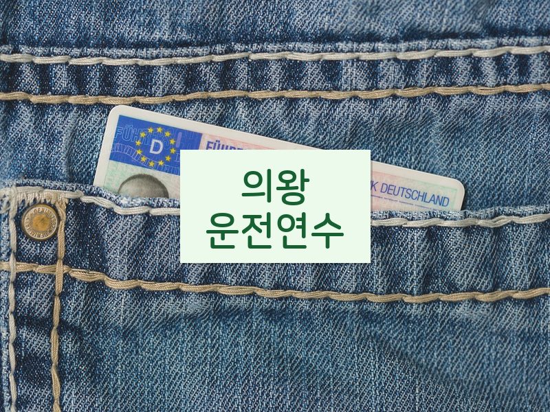 의왕운전연수 후기