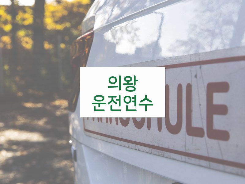 의왕운전연수 후기