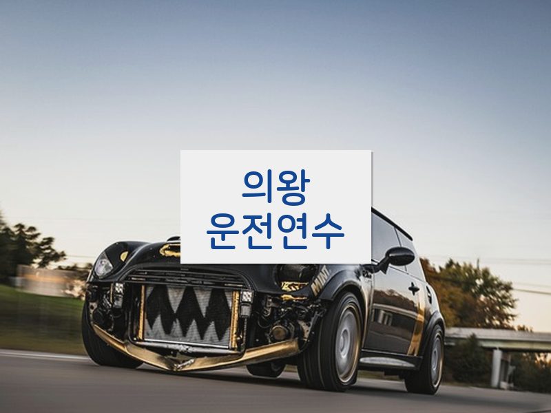 의왕운전연수 후기