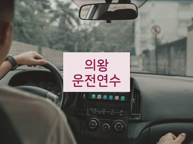 의왕운전연수 후기