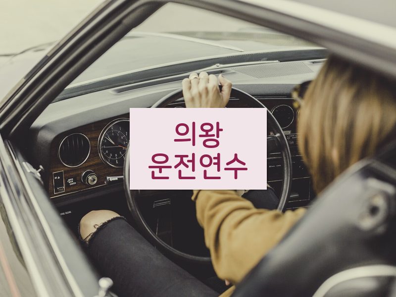 의왕운전연수 후기