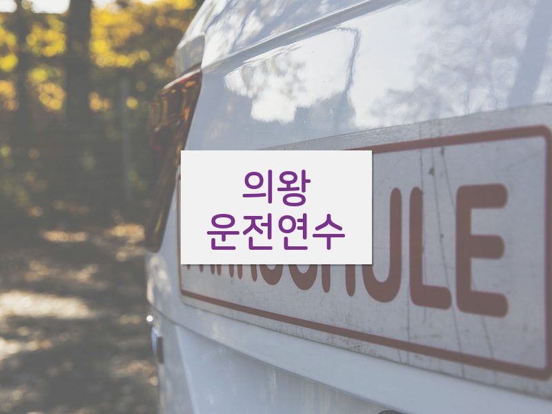 의왕운전연수 후기