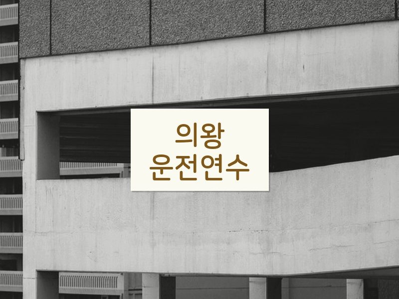 의왕운전연수 후기