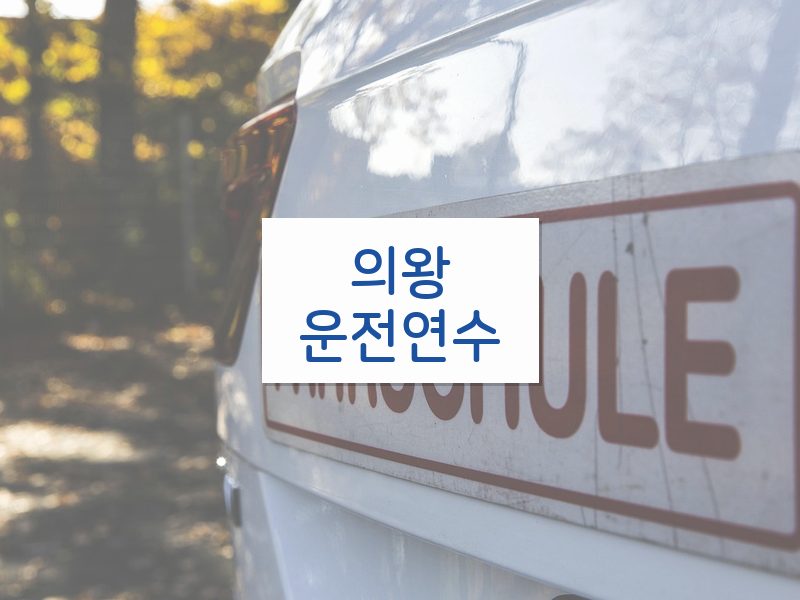 의왕운전연수 후기