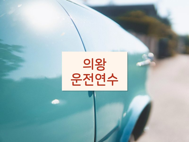 의왕운전연수 후기