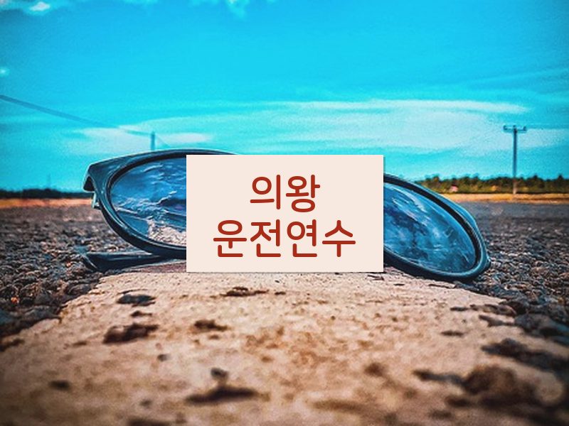의왕운전연수 후기