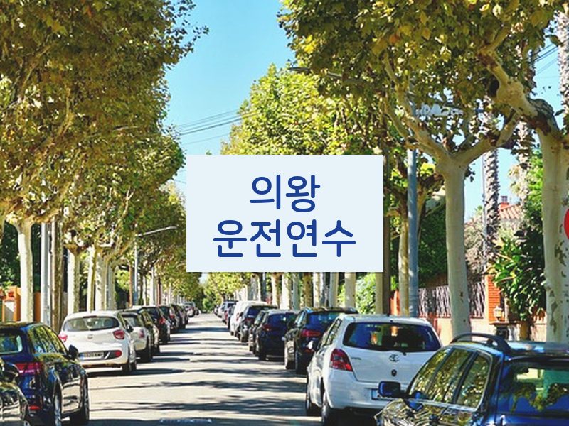 의왕운전연수 후기