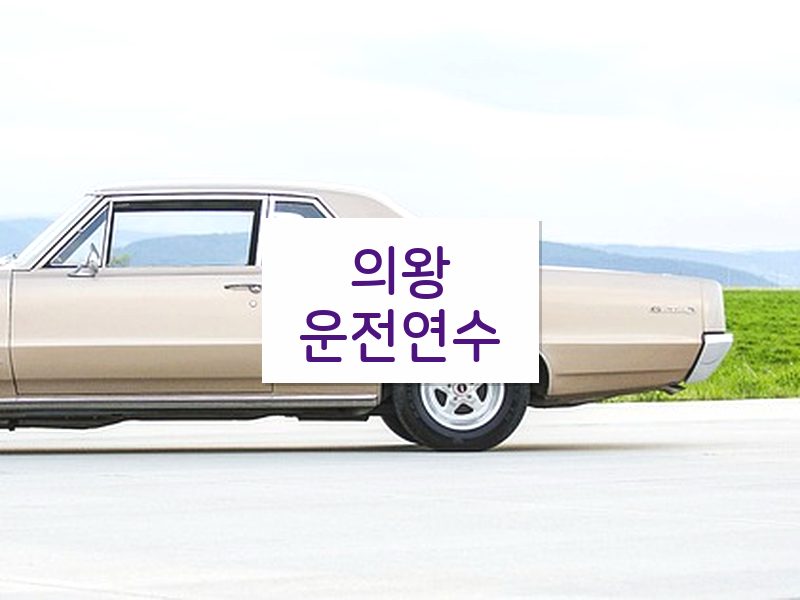 의왕운전연수 후기