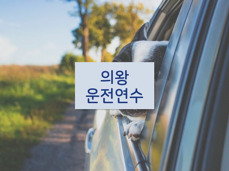 의왕운전연수 후기