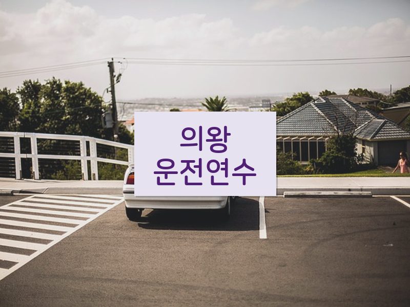 의왕운전연수 후기