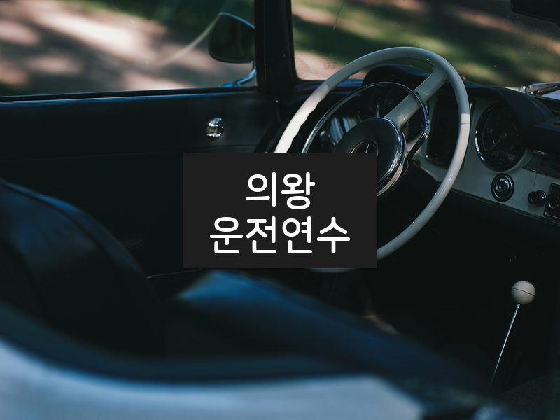 의왕운전연수 후기