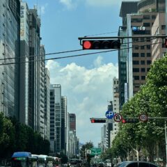 가정의일일 방문