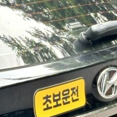 실무 중심 교육
