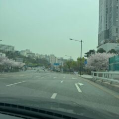 아이 학원 셔틀 후기