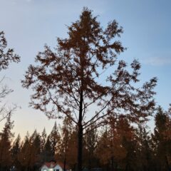 터널 운전 공포