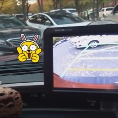 두려움 극복 후기