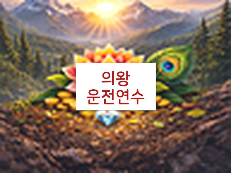 의왕운전연수 후기