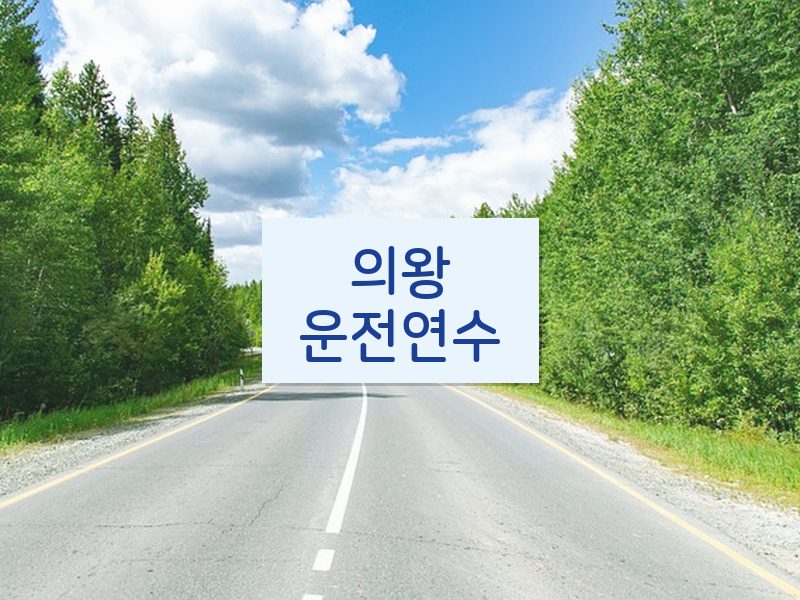 의왕운전연수 후기