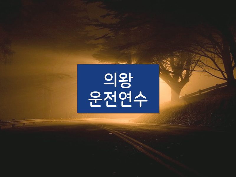 의왕운전연수 후기