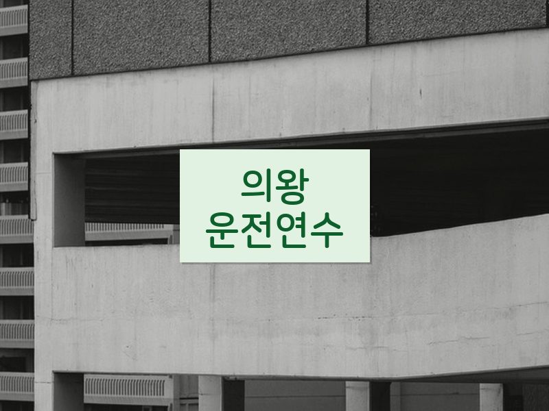 의왕운전연수 후기