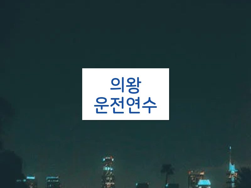 의왕운전연수 후기