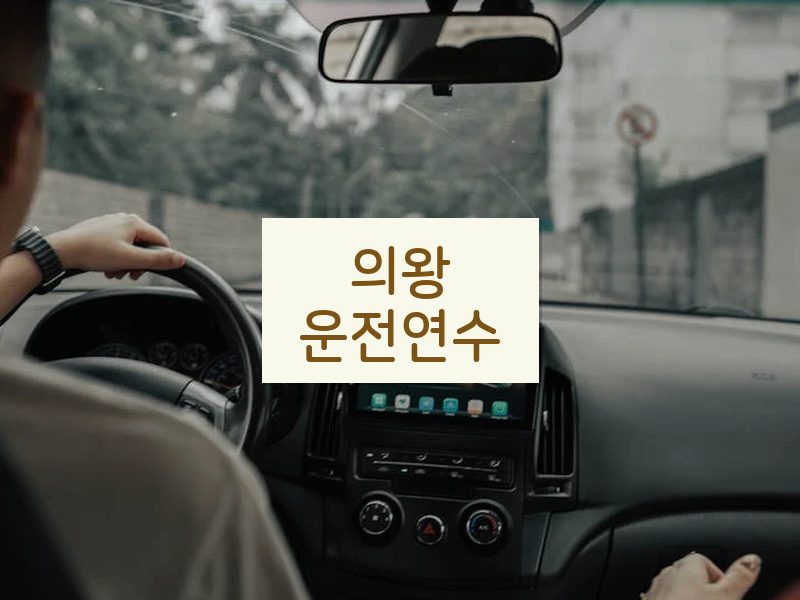 의왕운전연수 후기