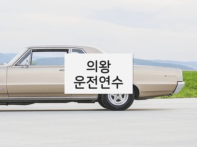 의왕운전연수 후기