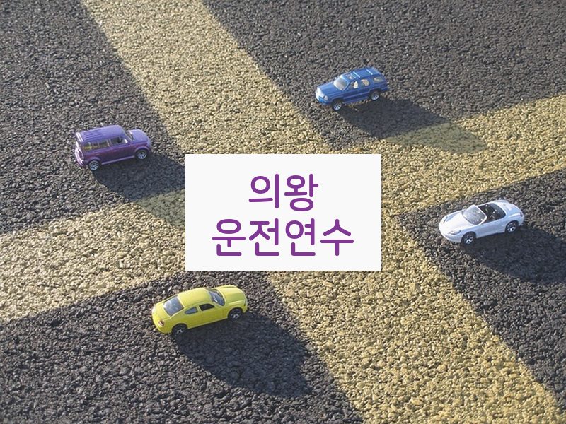 의왕운전연수 후기