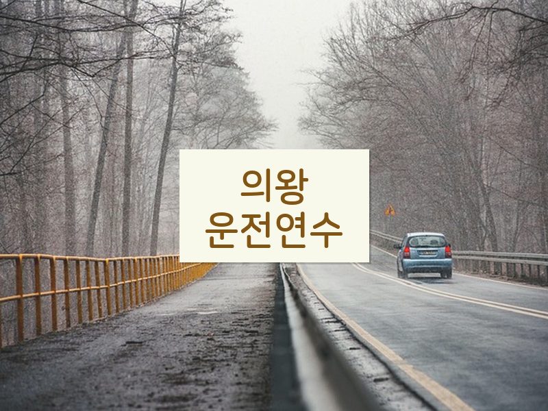 의왕운전연수 후기