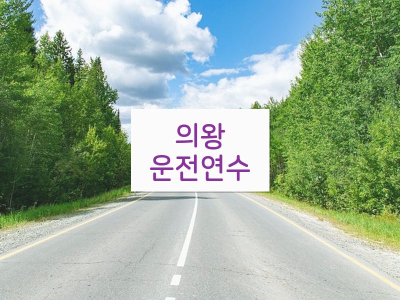 의왕운전연수 후기