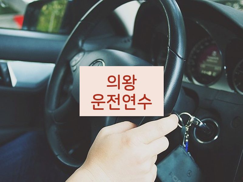의왕운전연수 후기