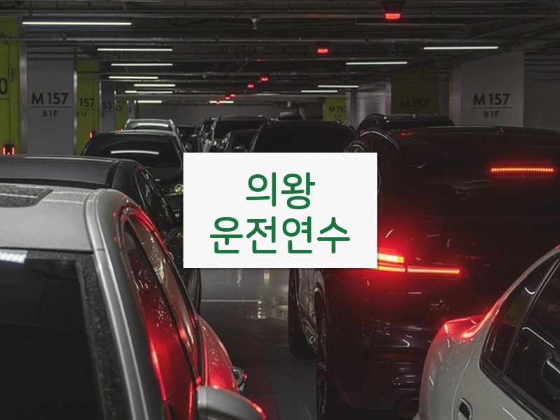의왕운전연수 후기