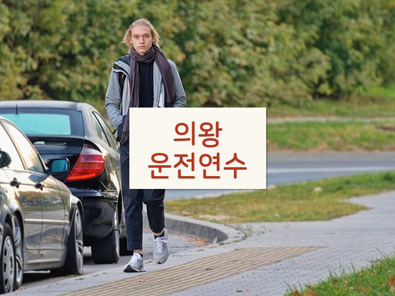 의왕운전연수 후기