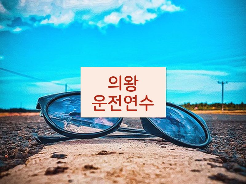 의왕운전연수 후기